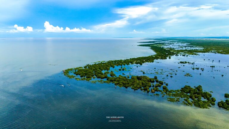 ផ្ទៃបឹងទន្លេសាបនារដូវស្សារ